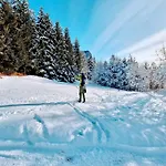 בית נופש Princess Mojca House בלד