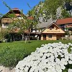 Princess Mojca House בית נופש