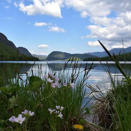 Princess Mojca House *