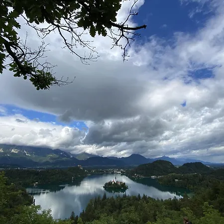 Princess Mojca House