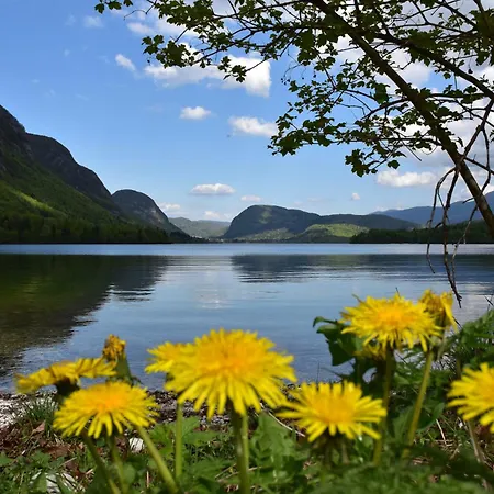 Princess Mojca House