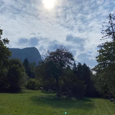 Tatil Evi Princess Mojca House *