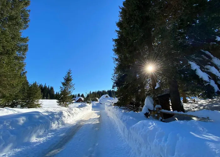 בית נופש Princess Mojca House בלד