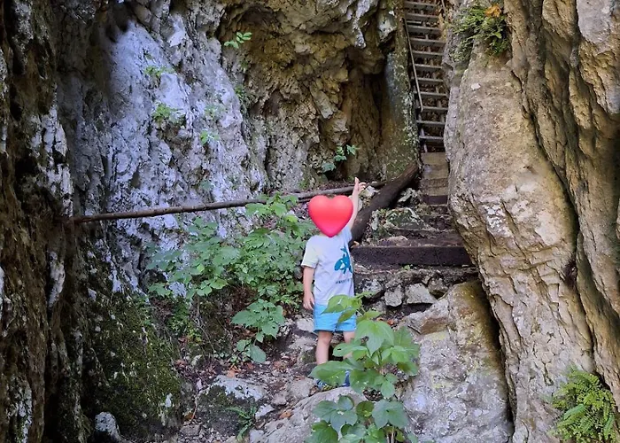 Princess Mojca House בלד