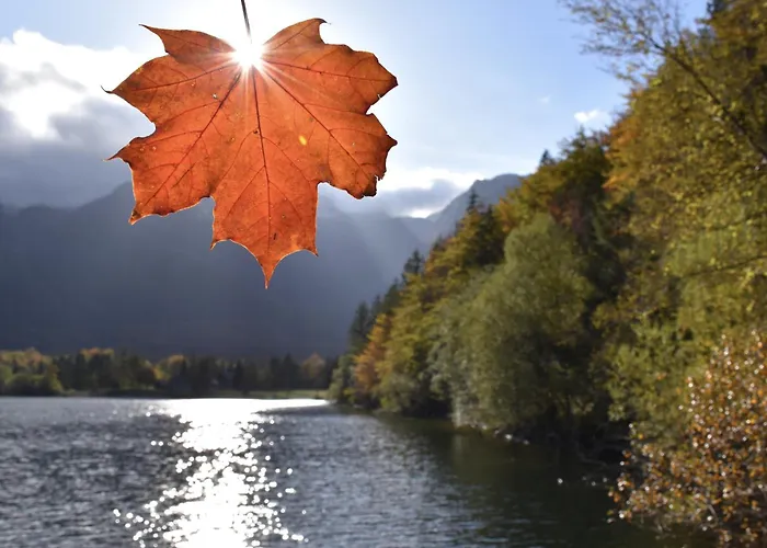 בית נופש Princess Mojca House *