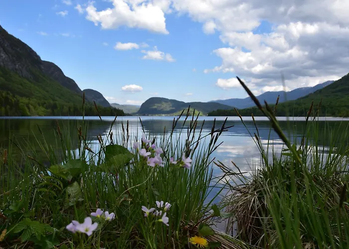 Princess Mojca House *