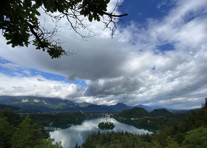 Princess Mojca House