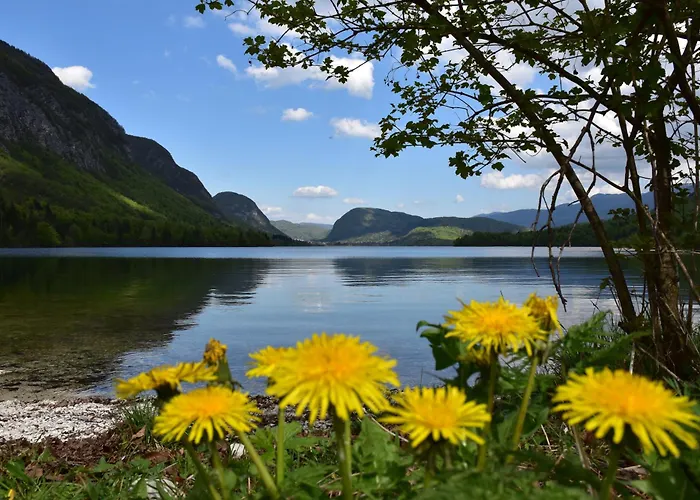 Princess Mojca House